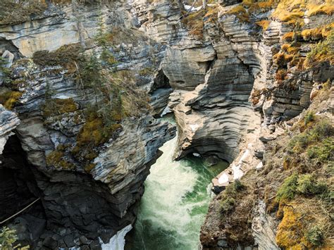 Athabasca Falls - Icefields parkway - A walk and a lark