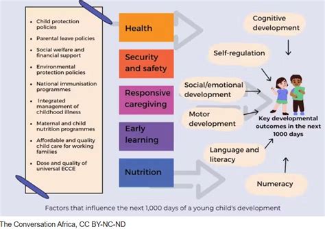 The First 1000 Days Of A Childs Life Are Crucial Growing Evidence