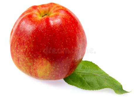 Red apple with leaf stock image. Image of freshness, apple - 10438043