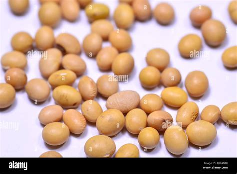 Chinese Yellow Soybeans In A Closeup Stock Photo Alamy