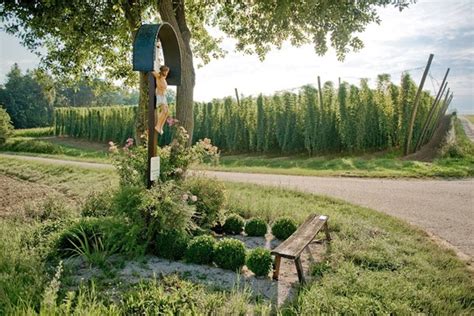 Die Hallertau Das Größte Hopfenanbaugebiet Der Welt Hopfenland Hallertau