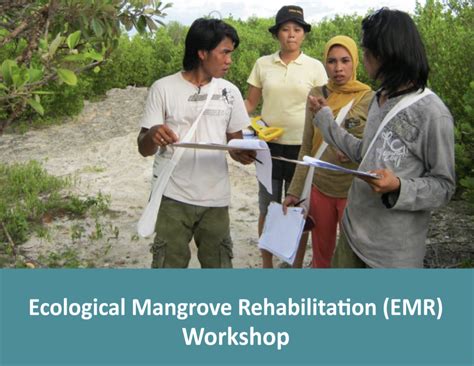 Ecological Mangrove Rehabilitation Emr Workshop Blue Forests