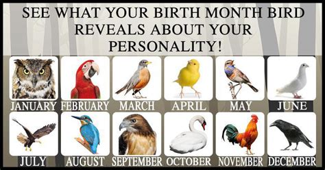 What Does Your Birth Month Bird Say About You?