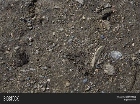 Rocky Soil Background Image & Photo (Free Trial) | Bigstock