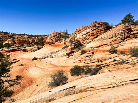 Checkerboard Mesa Hike A Complete Guide Zion National Park