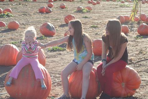 {kinda} Wordless Wednesday Bates Nut Farm {pumpkin Patch} Its A