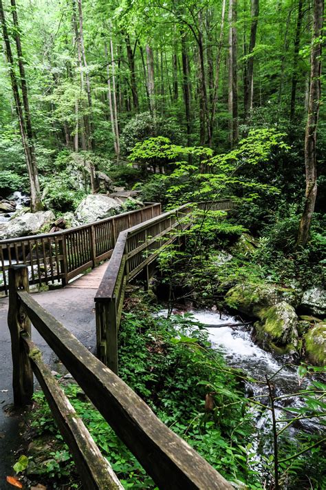 Amicalola Falls State Park – Clean Public Domain