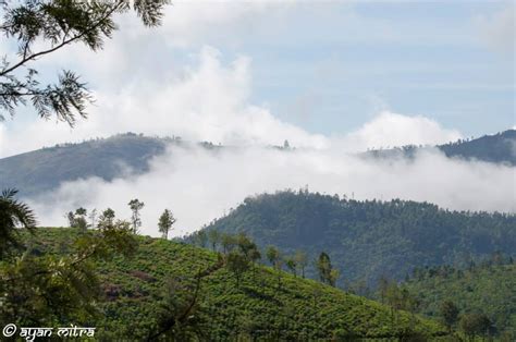 Coonoor A Refuge To The Lush Greenery Of The Tea Gardens And An Ideal