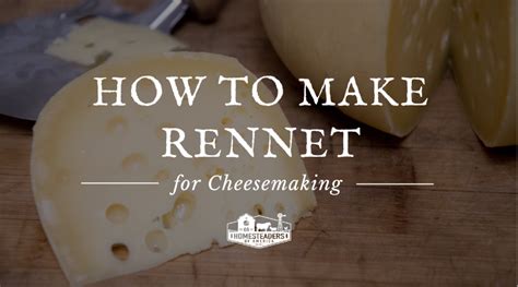 How To Make Rennet For Cheesemaking Homesteaders Of America