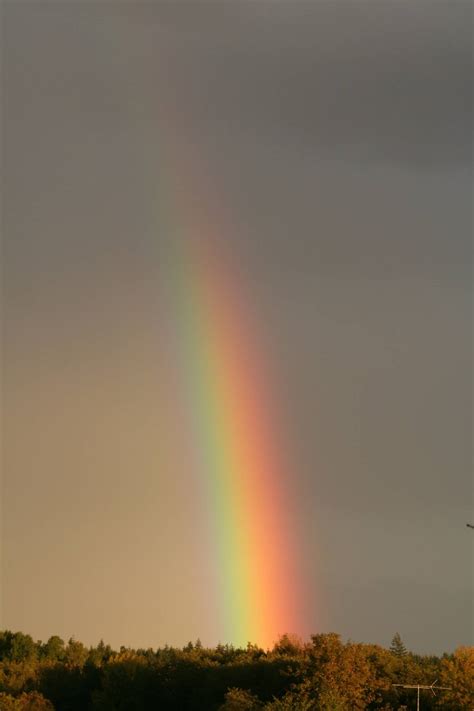 rainbow  france xarj blog  podcast