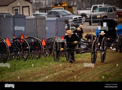 Amish Buggy Horse Auction In Hi Res Stock Photography And Images Alamy