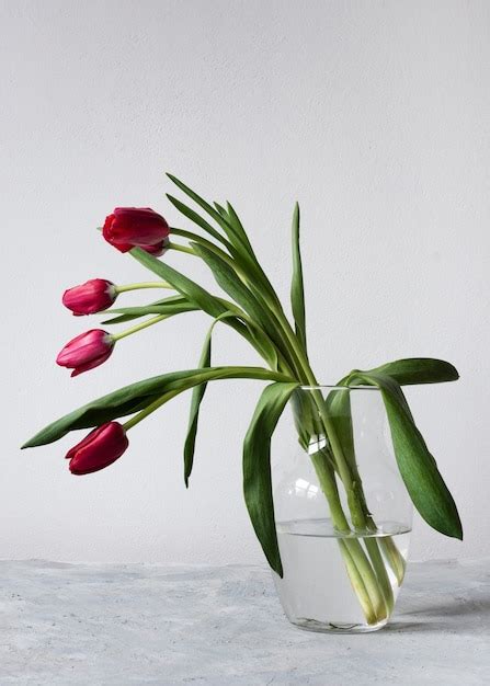 Vaas Met Rode En Roze Tulpen Gratis Foto