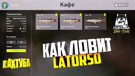 Русская рыбалка 4.🎣🦈 р. Ахтуба 🐬🐬💦 КАК ЛОВИТ LATORSO 👀 - YouTube
