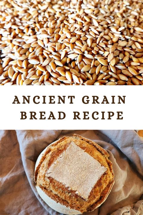 Ancient Grain Bread Recipe In Ancient Grains Bread Ancient