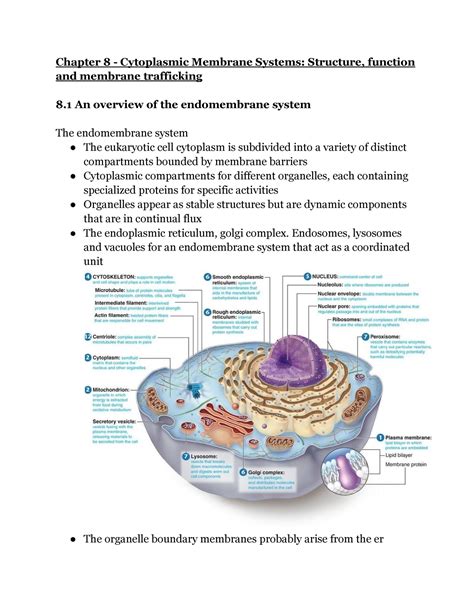 Bisc Chapter Chapter Cytoplasmic Membrane Systems Structure