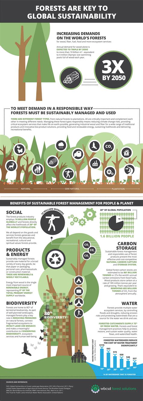 Forests Are Key To Global Sustainability Really Fascinating And