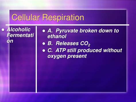 PPT - Ch. 5 Notes Part Two: Respiration PowerPoint Presentation, free ...