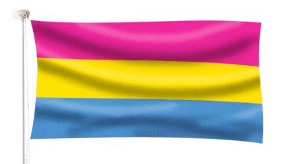 Pansexual Pride Flag | Hampshire Flag Company