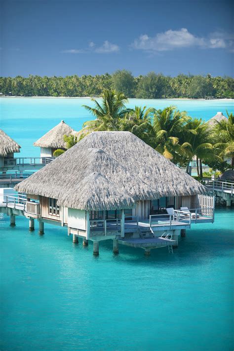 The St Regis Bora Bora Resort—premium Over Water Villa Flickr