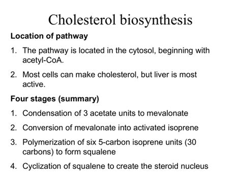 Cholesterol Biosynthesis