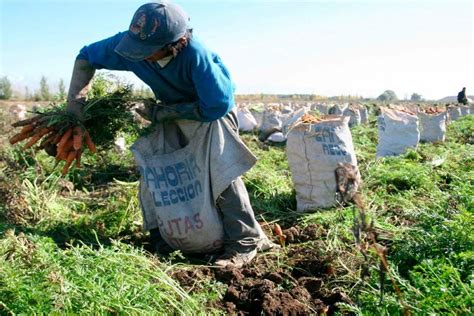 Fedeagro Y Fedenaga Piden Mantener Las Exoneraciones Del Islr