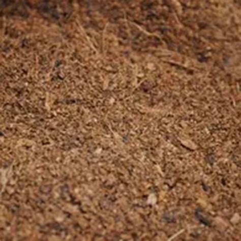Dragon Coco Ground кокосов субстрат пресовка 9л – Teraristika