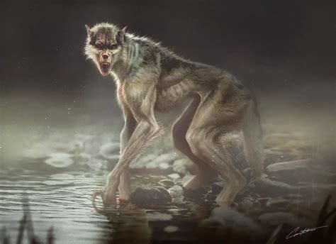 Skinwalker Terrifying Myth And Real World Lore