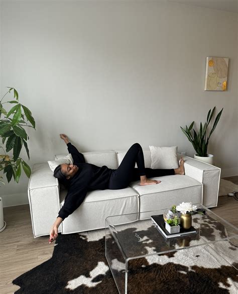 Pamper Your Pet With Povison Furniture