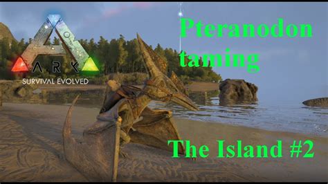 Pteranodon Taming Ark Survival Evolved Ep2 The Island Official Pve