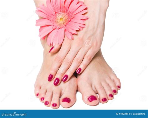 Pink Manicure And Pedicure With Flower Stock Photo Image Of Lacquer