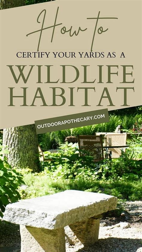 How To Turn Your Yard Into An Amazing Certified Wildlife Habitat And Botanical Sanctuary Artofit