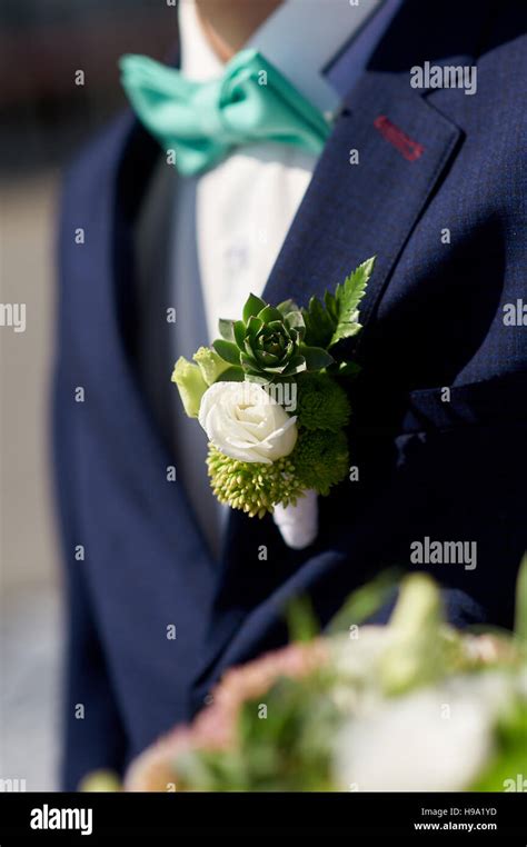 Groom Is With Boutonniere Stock Photo Alamy