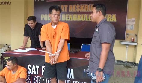 Polisi Tangkap Pencuri Sapi Di Bengkulu Utara Ini Pelakunya