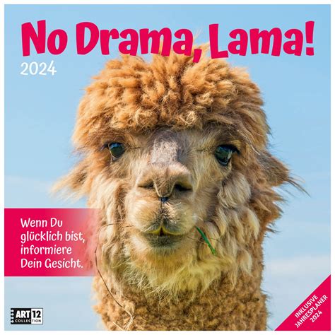 No Drama Lama