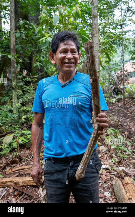 An Indigenous Shaman in Peru distills a brew of Ayahuasca for use in ...