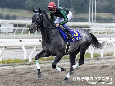 グリム競走馬2015年産 成績｜地方競馬予想のウマニティ