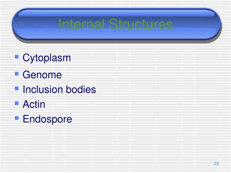 Ppt The Prokaryotes Powerpoint Presentation Free Download Id3026123