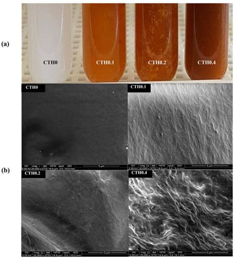 Polymers Free Full Text Thermosensitive Chitosan Hydrogels A