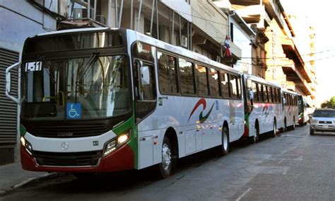 Nuevos buses se suman a la renovación del servicio de transporte