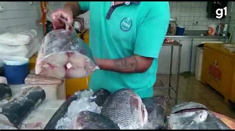 V Deo Confira Dicas Para A Escolha Do Peixe Da Semana Santa Cear G