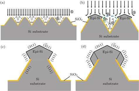 Formation And Preferred Growth Behavior Of Grooved Seed Silicon