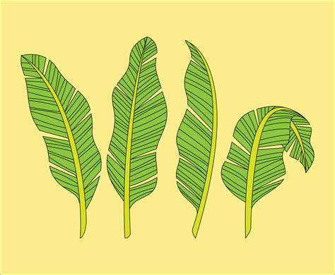 Banana Leaves Drawing