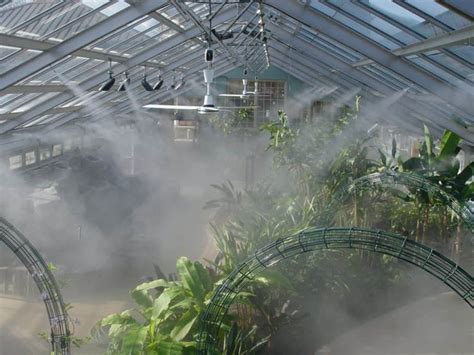 Tips For Greenhouse Ventilation And Cooling Greenhouse Info