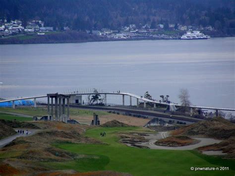 Chambers Bay Bridge