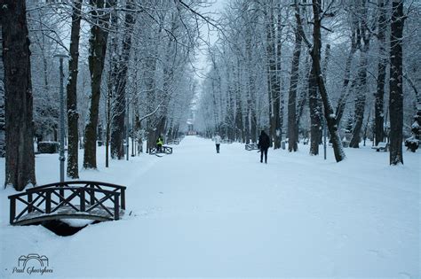 Iarna I A Reintrat N Drepturi La Cluj Ora Ul S A Transformat Ntr Un