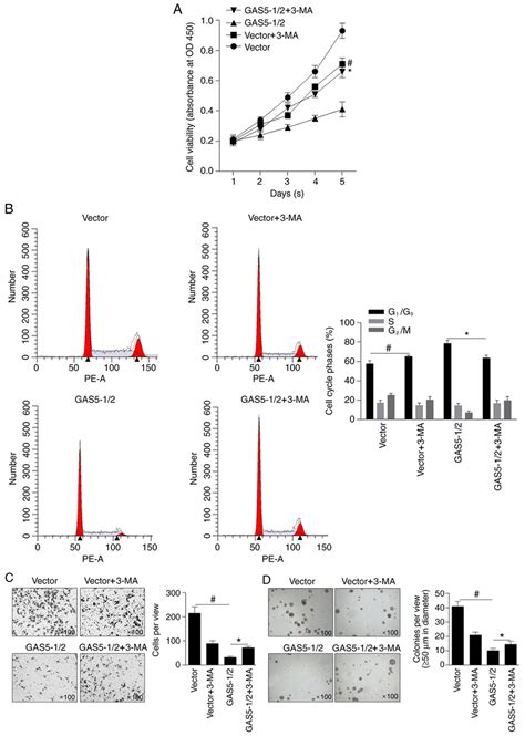 Effects Of Gas On Malignant Behaviors In Mcf Cells A Cell