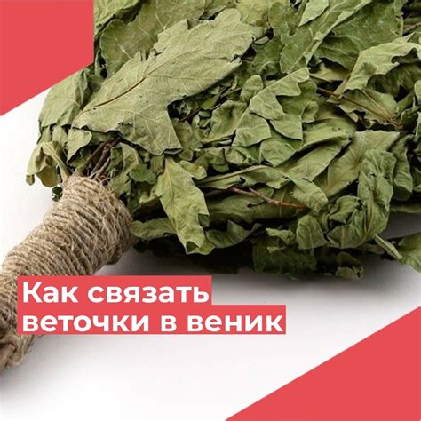 Способ связывания веток для получения банного веника – это важный ...