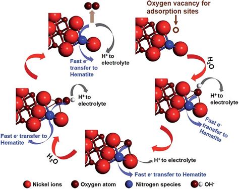 A Schematic Picture Describing The Mechanism Of The Water Oxidation