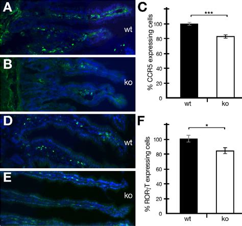 Figure 2 From Role Of Periostin In Inflammatory Bowel Disease