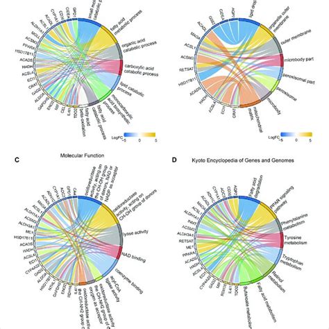 Gene Ontology Go And Kyoto Encyclopedia Of Genes And Genomes Kegg